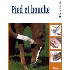 Pied et bouche