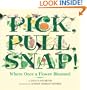 Pick, Pull, Snap!: Where Once a Flower Bloomed