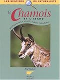 Le chamois et l'isard
