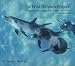 The Wild Dolphin Project: Long-term Recearch of Atlantic Spotted Dolphins in the Bahamas by Denise L. Herzing