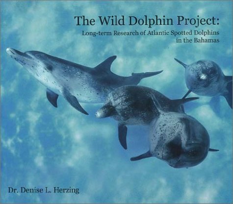 the wild dolphin project long term recearch of atlantic spotted dolphins in the bahamas