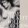 Wild Orchids