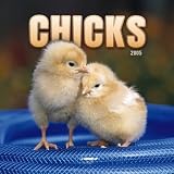 Chicks 2005 Mini Wall Calendar image
