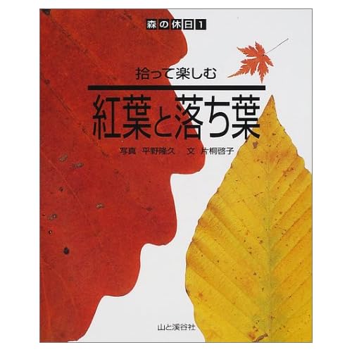 拾って楽しむ紅葉と落ち葉 (森の休日)