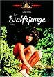 Der Wolfsjunge