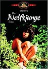 Der Wolfsjunge