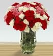 Send Fresh Cut Flowers - 100 Assorted Carnations