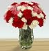 Send Fresh Cut Flowers - 100 Assorted Carnations