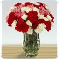 Carnations