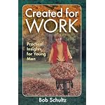 Created for Work: Practical Insights for Young Men book cover
