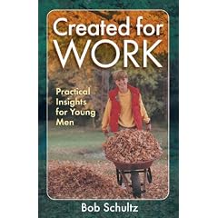 Created for Work: Practical Insights for Young Men