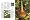 The Houseplant Encyclopedia