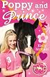 Poppy and Prince (Pony Camp Diaries)