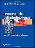 Ileo meccanico dell'intestino tenue: Aspetti TC e correlazioni eco-radiografiche (Italian Edition)