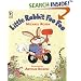 Little Rabbit Foo Foo