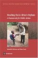 Reaching Out to Africa's Orphans: A Framework for Public Action (Africa Region Human Development Series)