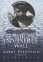 The Invisible Wall: A Love Story That Broke Barriers
