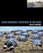 Books : Helen Escobedo: Steps On The Sand