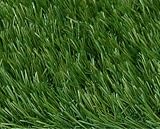 RealGrass RG 53SB 2 Landscape Series Meadow 5 by 18 Foot Residential Landscape Artificial Turf 51KHO23dtYL. SL160 RealGrass RG 53SB 2 Landscape Series Meadow 5 by 18 Foot Residential Landscape Artificial Turf