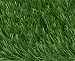 RealGrass RG 53SB-1 Landscape Series Meadow 3.75-Foot x 15-Foot Residential Landscape Artificial Turf