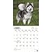 Alaskan Malamutes 2017 Wall Calendar