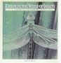 Exploring the World of Insects: The Equinox Guide to Insect Behavior