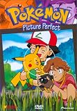 Revue Pioneer Video  / Pokemon - Picture Perfect (Vol. 17)