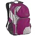Trans by JanSport Connection Backpack - Plum Violet