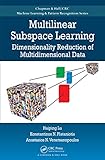 Multilinear subspace learning : dimensionality reduction of multidimensional data