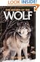 The Return of the Wolf (Camp and Cottage Wildlife Collection)