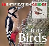 British birds