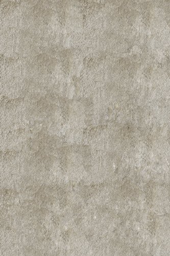 Momeni Luster Shag LS-01CHM80A0 Champagne Rug On Sale