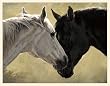Fiddlers Elbow Heart's Desire Horse Blank Box Note Card