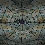 Rope Spider Web with Spider