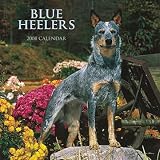 Blue Heelers