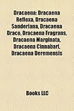 Dracaena: Dracaena Reflexa, Dracaena Sanderiana, Dracaena Draco, Dracaena Fragrans, Dracaena Marginata, Dracaena Cinnabari, Drac-