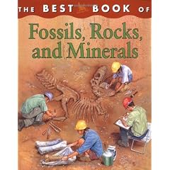 The Best Book of Fossils, Rocks, and Minerals