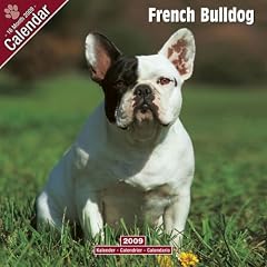 2009 French Bulldog Wall Calendar
