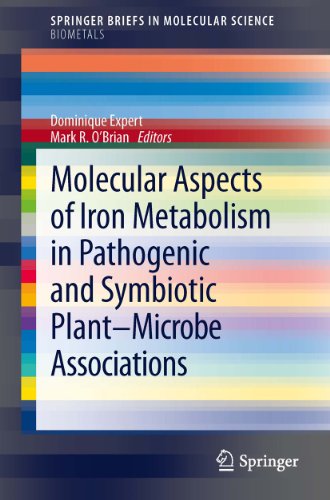 Molecular Aspects of Iron Metabolism in Pathogenic and Symbiotic Plant-Microbe Associations (SpringerBriefs in Molecular Science)