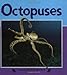 Octopuses (Nature Watch)