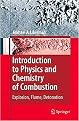 Introduction to Physics and Chemistry of Combustion (Explosion, Flame, Detonation) (Hardcover)