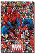 Spidey Collage - Marvel Heroes - Marvel Comics Poster