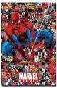 Marvel Heroes Movie (Spider-Man Collage) Poster Print - 24" X 36"