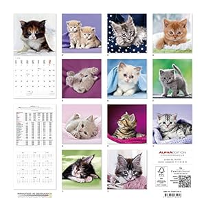 Alpha Edition 16.0105 Gattini Calendario da Muro 2016, 30 X 60 cm Aperto