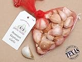 Garlic Cloves - Elephant Garlic Cloves for Planting - Organically Grown in Texas