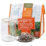 Eco-Culture Organic Crunchy Bean Mix Sprouts Growing Kit