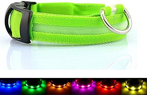 Paperflower® LED Dog Training Collar Rechargeable Strong Nylon Webbing Night Safety LED Flashing Dog Collar for All Size Dogs (Green, M)