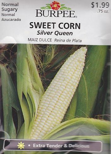 Burpee Silver Queen Hybrid Corn Seeds - .75 oz