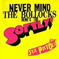 NEVER MIND THE BOLLOCKS�gHere�fs the Softly!�h~Tribute to Sex Pistols~