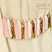 Ling's moment 18 PCS Tassel Garland Banner Tissue Paper Tassels for Wedding Baby Shower Event & Party Supplies DIY Kits - (Pink+Metallic Gold+White)